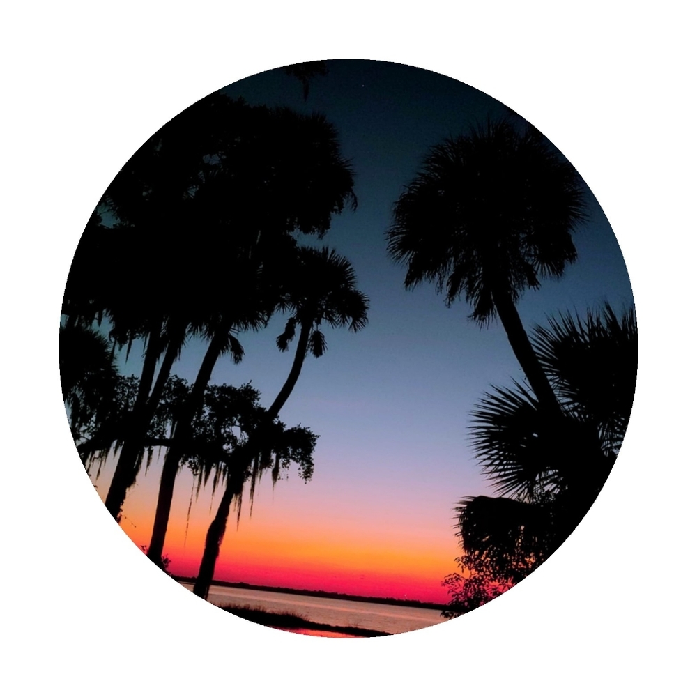 2. Unlisted Item For Live Posh Show